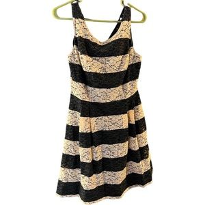 Sleeveless A-line Dress Black and Blush Lace Fully Lined